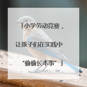 小学劳动竞赛，让孩子们在实践中“偷偷长本事”